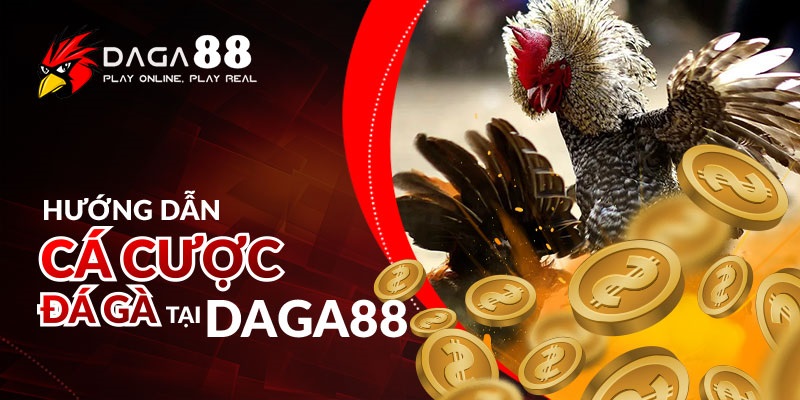 Hướng dẫn cá cược đá gà tại DAGA88