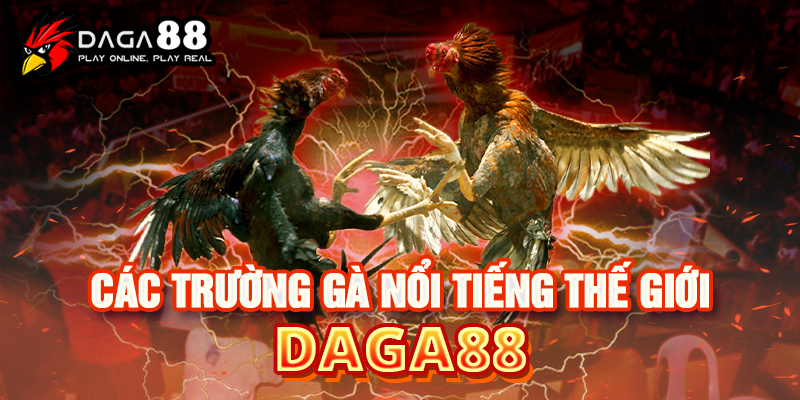 Luật chơi đá gà trực tiếp DAGA88 Luật chơi đá gà trực tiếp DAGA88