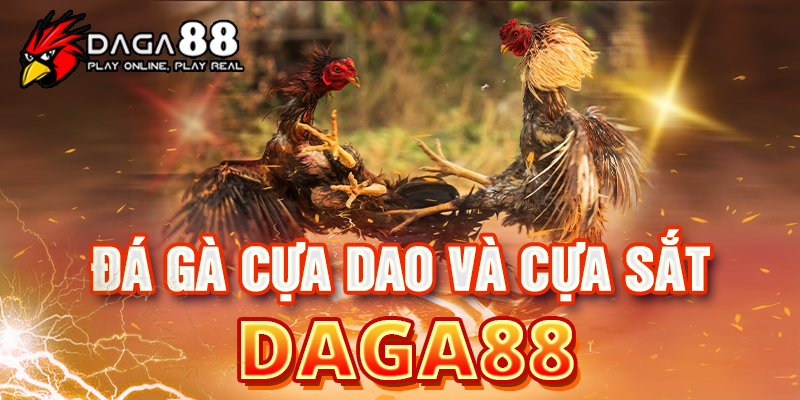 Lý do bạn nên chơi đá gà tại DAGA88 Lý do bạn nên chơi đá gà tại DAGA88