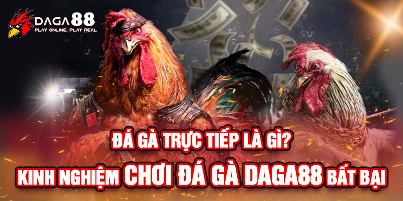 Đá gà trực tiếp là gì. Kinh nghiệm chơi đá gà DAGA88 bất bại Đá gà trực tiếp là gì. Kinh nghiệm chơi đá gà DAGA88 bất bại