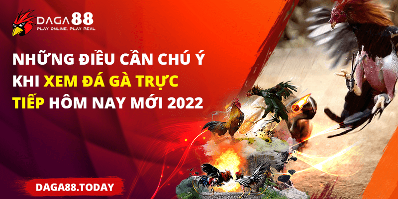 Những Điều Cần Chú Ý Khi Xem Đá Gà Trực Tiếp Hôm Nay Mới 2022 1 04/06/2026 Những điều cần chú ý khi xem đá gà trực tiếp hôm nay