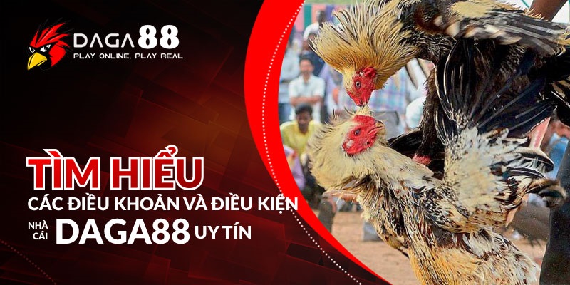 Tìm hiểu các điều khoản và điều kiện nhà cái DAGA88 uy tín