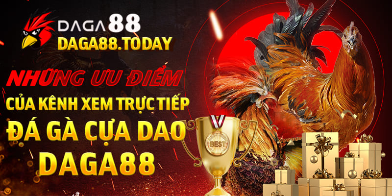 ưu điểm của kênh trực tiếp đá gà cựa dao Daga88