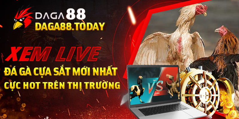 Xem Live Đá Gà Cựa Sắt Mới Nhất, Cực Hot Trên Thị Trường