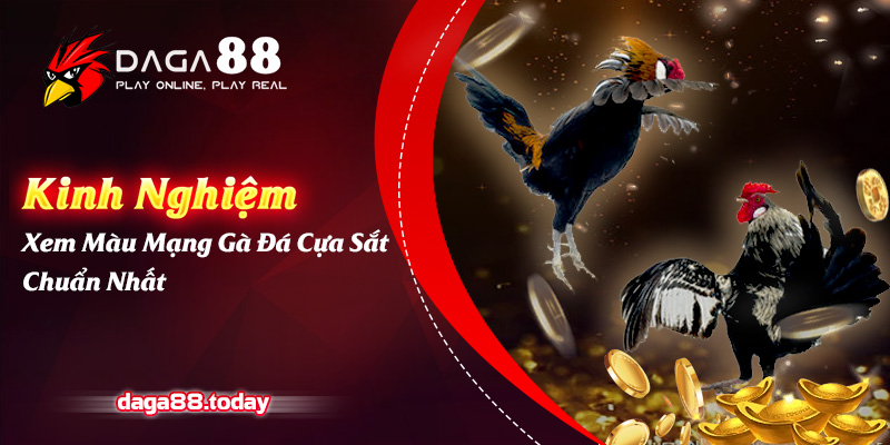 Kinh Nghiệm Xem Màu Mạng Gà Đá Cựa Sắt Chuẩn Giúp Gia Tăng Tỷ Lệ Thắng 4 04/06/2026 Kinh Nghiệm Xem Màu Mạng Gà Đá Cựa Sắt Chuẩn