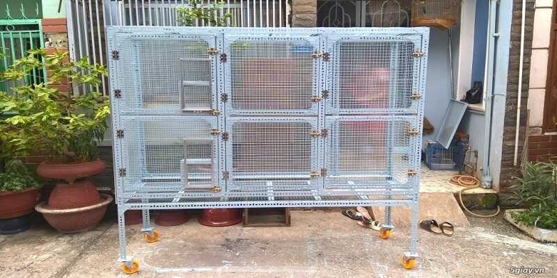 3 Lưu Ý Khi Lựa Chọn Các Kiểu Chuồng Nuôi Gà Chi Phí Thấp 5 04/06/2026 Chuồng nuôi gà bằng lưới B40