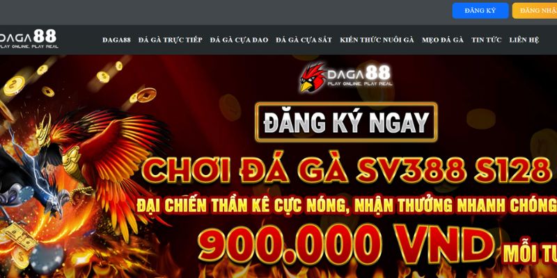 Xem đá gà tại daga88 chất lượng tuyệt vời