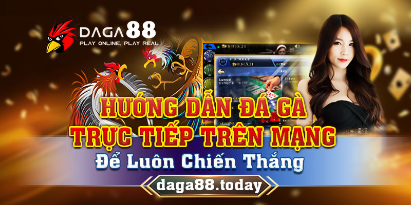 Hướng Dẫn Đá Gà Trực Tiếp Trên Mạng Để Luôn Chiến Thắng 4 04/06/2026 Hướng dẫn đá gà trực tiếp trên mạng