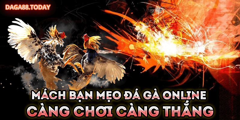 Mách Bạn Mẹo Đá Gà Online Càng Chơi Càng Thắng 4 04/06/2026 mách bạn mẹo đá gà online dễ thắng