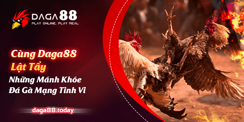 Cùng Daga88 Lật Tẩy Những Mánh Khóe Đá Gà Mạng Tinh Vi 4 04/06/2026 Cùng Daga88 Lật Tẩy Những Mánh Khóe Đá Gà Mạng Tinh Vi