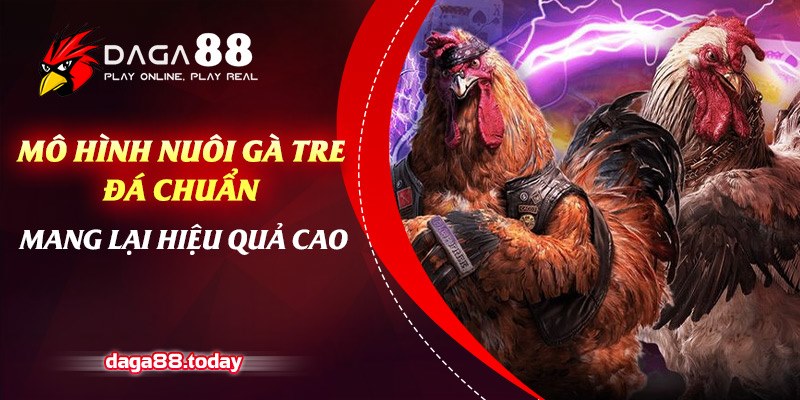 Mô Hình Nuôi Gà Tre Đá Chuẩn, Mang Lại Hiệu Quả Cao 4 04/06/2026 Mô hình nuôi gà tre đá