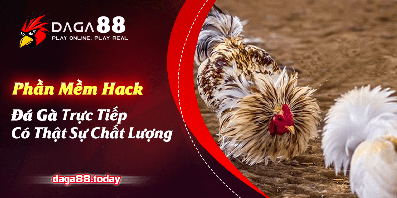 Phần Mềm Hack Đá Gà Trực Tiếp Có Thật Sự Chất Lượng? 4 04/06/2026 Phần Mềm Hack Đá Gà Trực Tiếp Có Thật Sự Chất Lượng