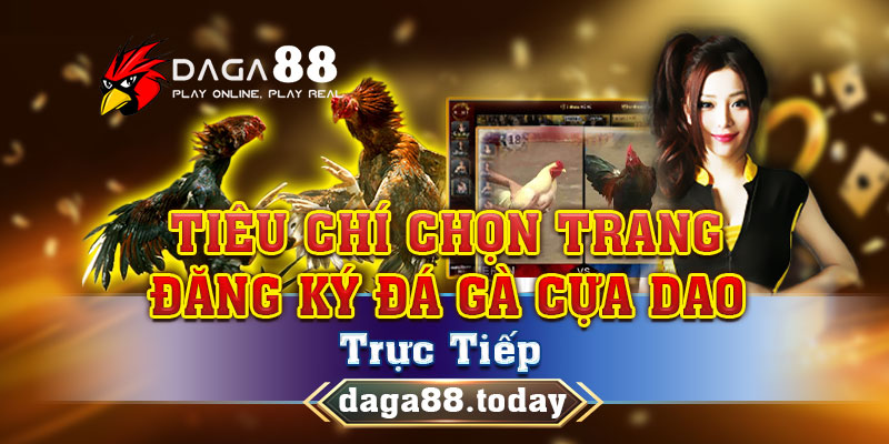 tieu chi chon trang dang ky da ga cua dao truc tiep 04/06/2026