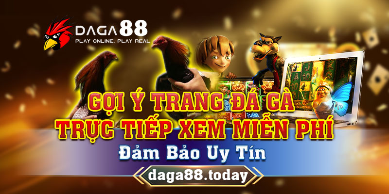 Gợi Ý Trang Đá Gà Trực Tiếp Xem Miễn Phí, Đảm Bảo Uy Tín 4 04/06/2026 Trang đá gà trực tiếp xem miễn phí