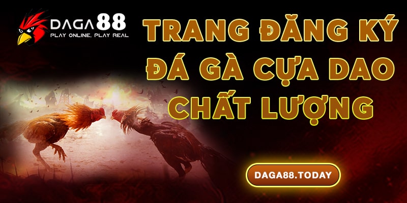 Trang đăng ký đá gà cựa dao chất lượng - Daga88
