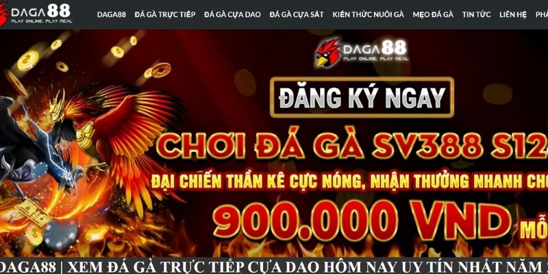 Website xem trực tiếp đá gà cựa dao Philippines hôm nay Website xem trực tiếp đá gà cựa dao Philippines hôm nay