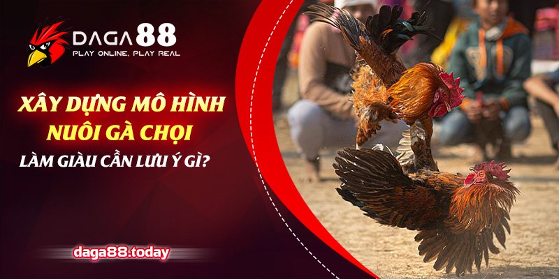 Xây Dựng Mô Hình Nuôi Gà Chọi Làm Giàu Cần Lưu Ý Gì? 4 04/06/2026 Xây dựng mô hình nuôi gà chọi làm giàu