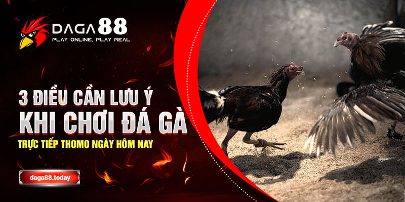 3 Điều Cần Lưu Ý Khi Chơi Đá Gà Trực Tiếp Thomo Ngày Hôm Nay 23 04/06/2026 3 Điều Cần Lưu Ý Khi Chơi Đá Gà Trực Tiếp Thomo Ngày Hôm Nay
