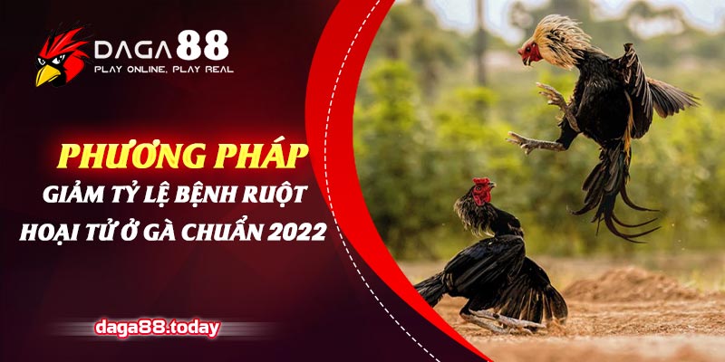 Phương Pháp Giảm Tỷ Lệ Bệnh Ruột Hoại Tử Ở Gà Chuẩn 2022