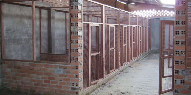 Chuẩn bị chuồng nuôi đạt yêu cầu kỹ thuật