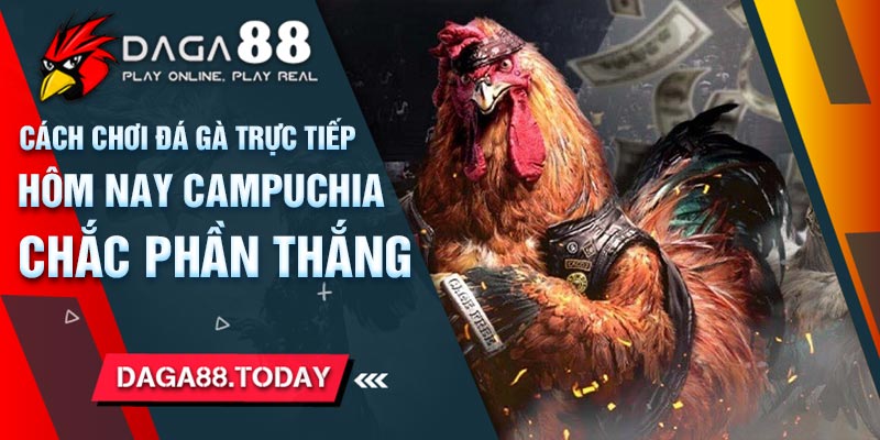 Cách Chơi Đá Gà Trực Tiếp Hôm Nay Campuchia Chắc Phần Thắng 6 04/06/2026 Cách Chơi Đá Gà Trực Tiếp Hôm Nay Campuchia Chắc Phần Thắng
