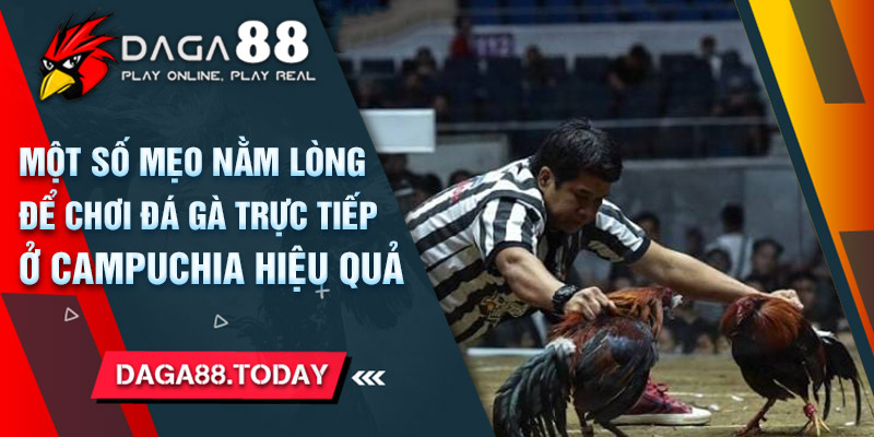 Một Số Mẹo Nằm Lòng Để Chơi Đá Gà Trực Tiếp Ở Campuchia Hiệu Quả 18 04/06/2026 Một Số Mẹo Nằm Lòng Để Chơi Đá Gà Trực Tiếp Ở Campuchia Hiệu Quả