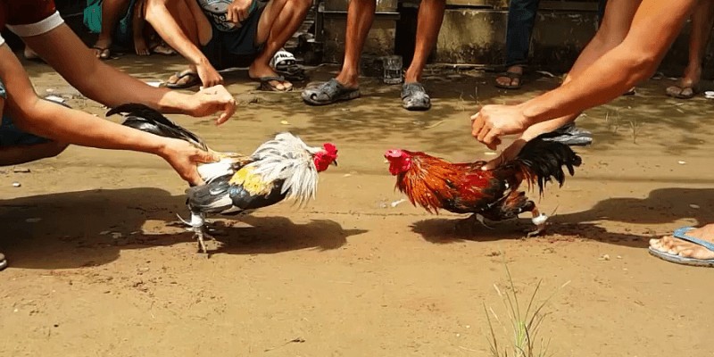 Kinh nghiệm nắm chắc kèo cược
