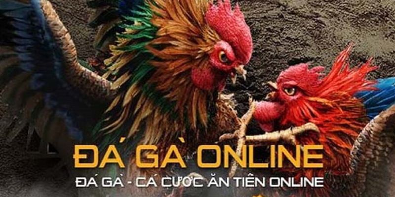 Hướng dẫn đăng ký tài khoản đá gà Kubet đơn giản từ A đến Z 6 04/06/2026 Hướng dẫn đăng ký tài khoản đá gà Kubet đơn giản