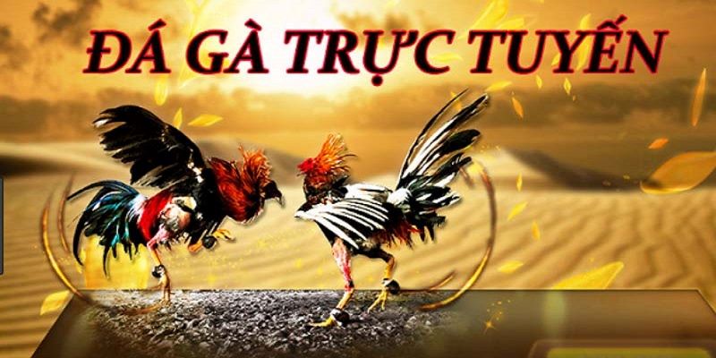 Hướng dẫn đăng ký tài khoản đá gà Sv388 dễ dàng 5 04/06/2026 Sơ lược về nhà cái Sv388