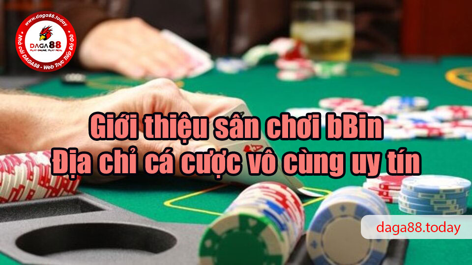 Tìm hiểu tất tần tật về nhà cái uy tín bBin 5 04/06/2026 Giới thiệu sân chơi bBin - Địa chỉ cá cược vô cùng uy tín
