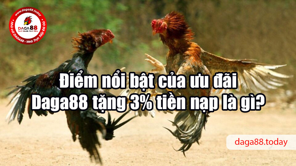 Daga88 tặng 3% tiền nạp, cược càng nhiều thưởng càng khủng 5 04/06/2026 Điểm nổi bật của ưu đãi Daga88 tặng 3% tiền nạp là gì?