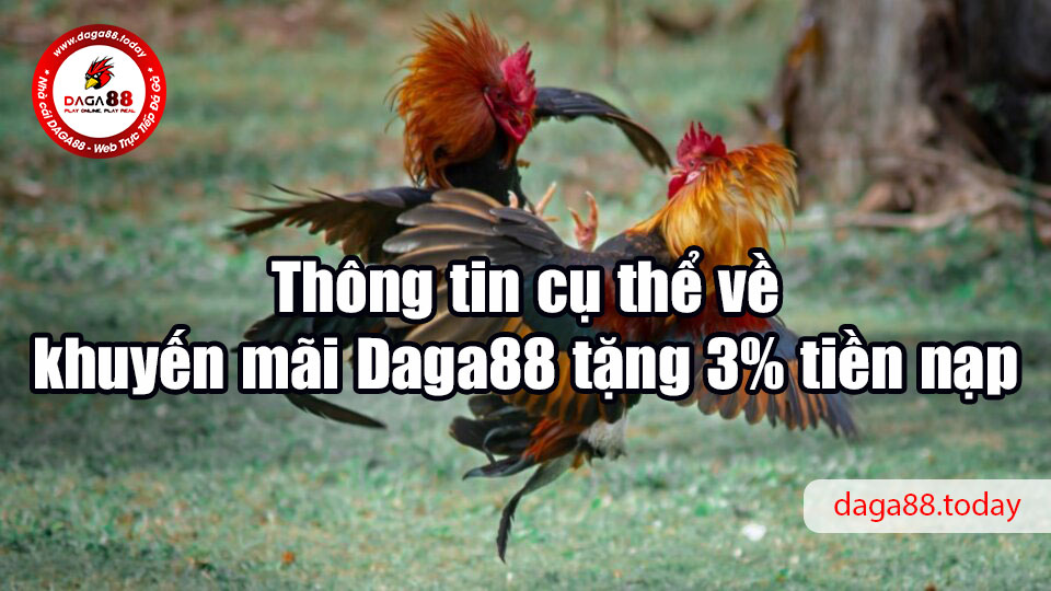 Daga88 tặng 3% tiền nạp, cược càng nhiều thưởng càng khủng 6 04/06/2026 Thông tin cụ thể về khuyến mãi Daga88 tặng 3% tiền nạp