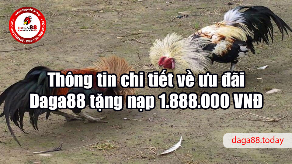 Daga88 tặng nạp 1.888.000 VNĐ cho toàn bộ người chơi mới 6 04/06/2026 Thông tin chi tiết về ưu đãi Daga88 tặng nạp 1.888.000 VNĐ