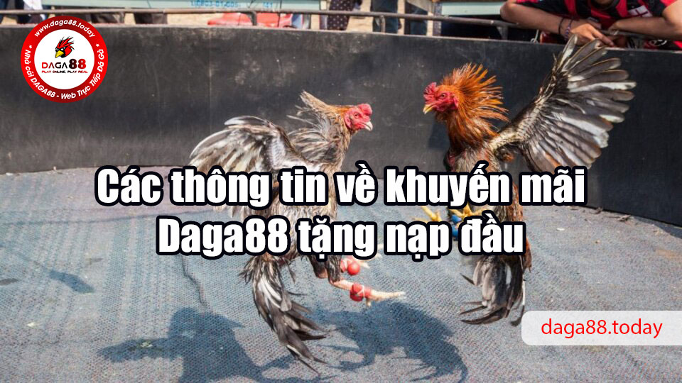 Daga88 tặng nạp đầu cho kê thủ, giá trị gần 9 triệu đồng 5 04/06/2026 Các thông tin về khuyến mãi Daga88 tặng nạp đầu