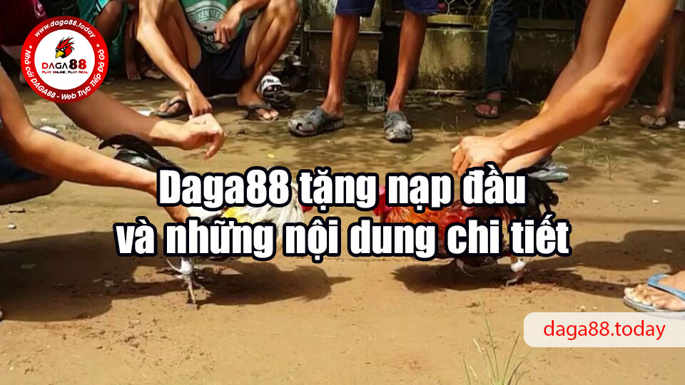 Daga88 tặng nạp đầu cho kê thủ, giá trị gần 9 triệu đồng 6 04/06/2026 Daga88 tặng nạp đầu và những nội dung chi tiết