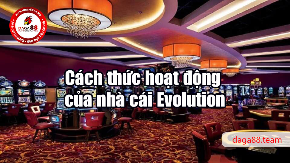 Evolution - Sân chơi cá cược đáng để bet thủ tham gia 6 04/06/2026 Cách thức hoạt động của nhà cái Evolution